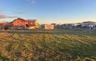 TEREN Selgros Malu Mare - 5