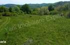 Teren 19.452 mp de vanzare in Curtea de Arge?. - 5