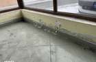 BRAILA, HIPODROM, ``GOSPODINA``, SPATIU COMERCIAL - 200 MP - 1