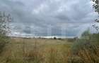 Teren de vanzare, 4.300 mp, zona Cornesti - Mihai Viteazu
