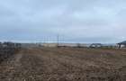 Teren Dorohoi - 23000 mp - Sau - Parcele 1000mp, 900mp, 1500mp, etc. - 2