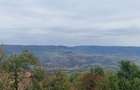 Casa tradi?ionala cu livada ?i vedere panoramica Atia, langa Sovata | 2.054 mp teren intravilan