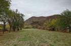 Teren intravilan 2500mp Criscior