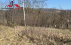 Casa si anexe cu un teren de 7701 mp de vanzare in Stauini Jud Alba - 12