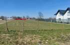 Teren intravilan de vanzare in Dragoesti Ialomita - 3