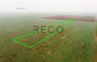 RECO Teren extravilan 5800 mp Livada de Bihor - 3