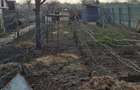 Vand vie cu anexe construite - 2