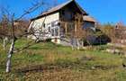 Casa de vanzare, Cotmeana, Arges, 6772 mp. 25km Pitesti - 3