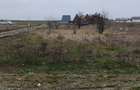 teren Costinesti-Beach Please - 2