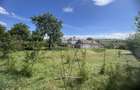 Casa la tara - 23km de Sibiu + teren 2300mp, sat Rusi - 13
