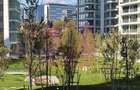Apartament One Lake Club Lacul Tei