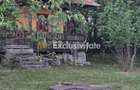 Casa cu 7.769 mp teren ?i padure | Budieni | 53.000