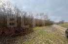 Teren extravilan, 4 hectare, langa livada de mere Ghinda - 4