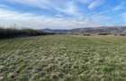 Vand 1,7325 hectare Teren Arabil Extravilan Orasu Nou-Vii, jud. Satu Mare, Acte la Zi, Proprietar - 5