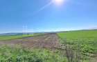 Teren extravilan, 8700 mp, pretabil agricultura sau investi?ie - Bod - 2