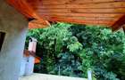 Vilă unică într-o oază de natură din centrul Brașovului | 180 mp | Teren 360 mp - 8