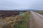 Teren intravilan 640 mp, Harman, Brasov