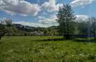 Teren intravilan la munte, in Nereju, Vrancea - 10