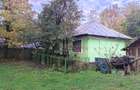 Casa si gradina de vanzare