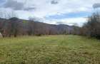Vand teren in Sat Sulta, com. Agas, Bacau - 1