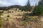 Teren de 6000 mp, în Deal