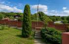 Casa Provita de Sus, 3.000 mp teren, 2 fronturi stradale, mobilata - 7