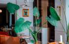 Penthouse Premium zona Floreasca - 13