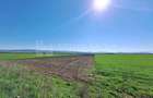 Teren extravilan, 8700 mp, pretabil agricultura sau inve... - 5