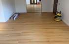 Apartament de 4 camere in vila