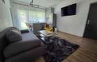 Duplex, 2 camere open space, curte, parcare, Buna Ziua, Leroy Merlyn - 7