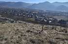 Teren intravilan 2.217 mp cu panorama superba | Alexandru cel Bun Vii?oara str. Scorusului - 3