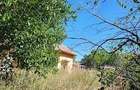 Teren de vanzare + Casa , sat Vartop, Corabia, Olt - 1