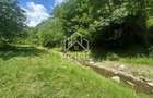 Casa de vacanta 98 mp| 25.000 mp teren| zona Valea Vintului - 4