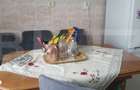 Apartament cu 2 camere, 48 mp, semidecomandat, zona Vatra Dornei - 3