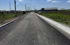 Loturi de 500MP zona Walter - Prelungirea Linistii - 6