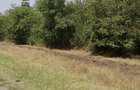 Vand teren extravilan padure - 1