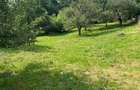 Teren de 1500 mp, în Gemenea-Brătulești - 4