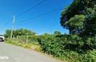 Vanzare 2 Loturi Teren Cernica Str. Luceafarului Zona Lac Padure 750 M - 2