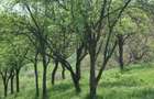 vand teren extravilan 2500mp Buda jud.Buzau - 1