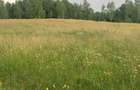 Vanzare teren intravilan 9200 mp - 5