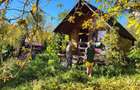 Cabana de vanzare, Poienita Voinii, Hunedoara - 4