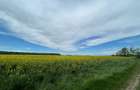 Teren pentru casă lângă pădure | 500 mp | Clinceni | Investiție excelentă - 2
