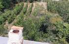 CASA DE VANZARE -COMUNA BESTEPE, TEREN 5165 MP - 13