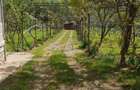 Vila P+E cu teren 2559 mp, vie, garaj, izvor - Borosteni, Gorj - 10