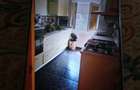 Vind Apartament zona Govidari - 6