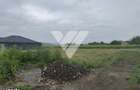 Teren 845 mp, front 16 m, utilitati si autorizatie construire - Vestem - 3