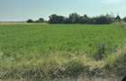 Vand teren intravilan - 2