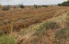 Teren intravilan, 3000 mp, zona Est - Cotofenii din Fata