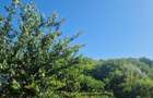 Casa de vanzare plus vad comercial plus 3000mp Cristesti, Pascani ,IasiE 85, 100.000 euro negociabil,nr.tel0764842630 - 1