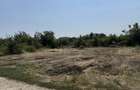 Teren de 500 mp, în Măgurele - 8